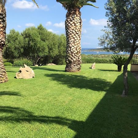 Seaview Apartments 80 Палау Екстериор снимка